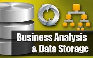 Business Analysis and Data Store